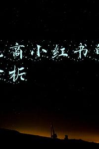 小红书电子商务模式分析(小红书虽被资本青睐 但仍需探索多元商业模式)