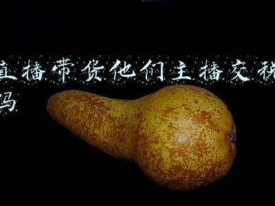 直播带货主播岗位职责(直播带货主播须满十六岁)
