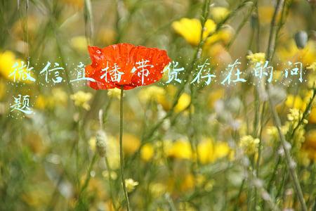 微信直播带货存在的问题