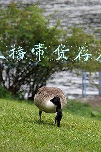 微信直播带货存在的问题
