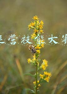电商运营技能大赛美工