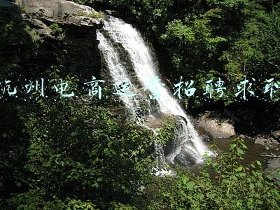 杭州电商运营招聘求职