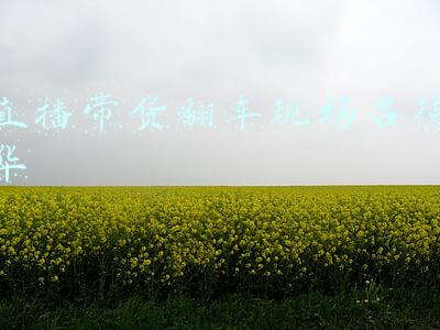 主播带货大型翻车现场(又一主播“求婚”带货翻车！23万人举报，永久封号)