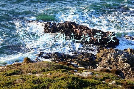 纯佣带货直播哪里找(直播间的生意经变了，品牌纯佣带货模式崛起)