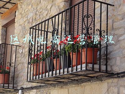 区域电商运营管理