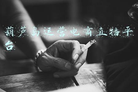 葫芦岛市企业服务平台(兴城：完成葫芦岛一体化在线政务服务平台数据梳理工作)