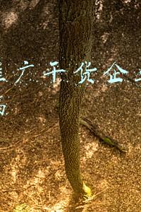 抖音商品推广(跟抖音学习营销方法，这样布局你的产品，快速获取大量精准客户)