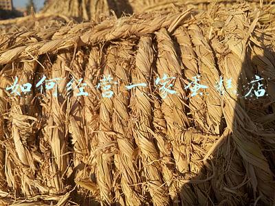 如何经营一家物流公司，如何经营一家物流公司作业