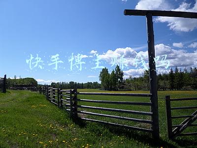 快手博主推广猫粮的一般多少钱(云“吸”宠提速，市场规模超2000万元！萌宠短视频催生新经济)
