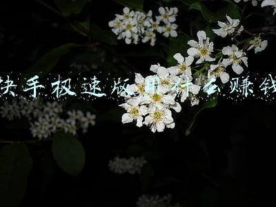快手极速版用什么赚钱