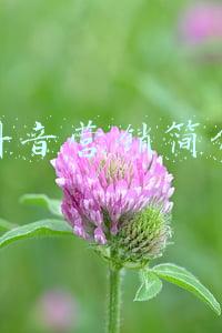 市场营销专业简介(市场营销专业，真的是弱鸡吗适合的人，能转身成王者)