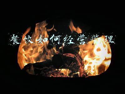 餐饮连锁经营与管理-餐饮连锁经营与管理书籍