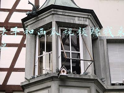 快手和西瓜视频是一个公司吗(做直播电商，要懂得淘宝、抖音、快手、西瓜4大直播平台的区别)
