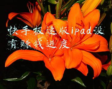 快手极速版没有进度条(历史记录功能对比)