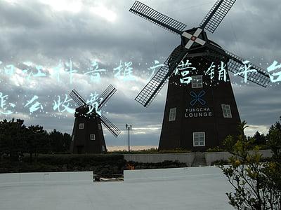 阳江市网络问政平台(房地产乱象调查 | 琼海阳江花苑：11年都没办下房产证 业主想卖房筹治病款都难)