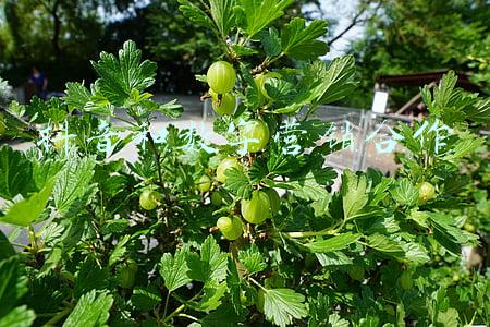 数字营销公司排行榜(2021中国数字营销公司排行榜TOP50出炉)