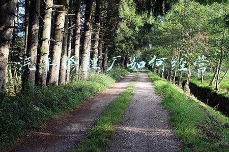 汽车修理厂如何经营客户(汽车修理厂怎么开发客户)