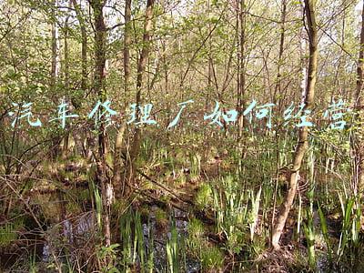 开一个汽车修理店要怎么经营《如何开个汽车修理店》