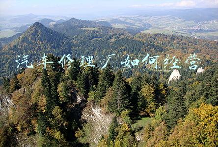 汽车修理厂软件，汽车维修软件