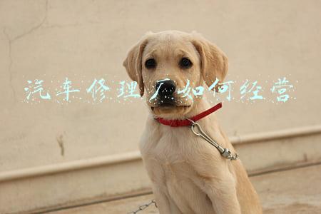 汽车修理厂入股协议(汽车修理厂入股协议书范本合同)