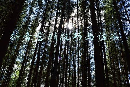 抖音直播技巧话术(抖音直播间高转化话术案例详解（服饰行业）)