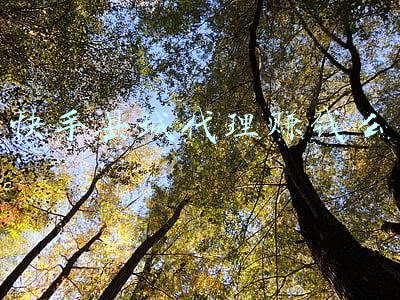 免费做快手代理(快手开户自己开户还是找代理商？哪个费用更低？)