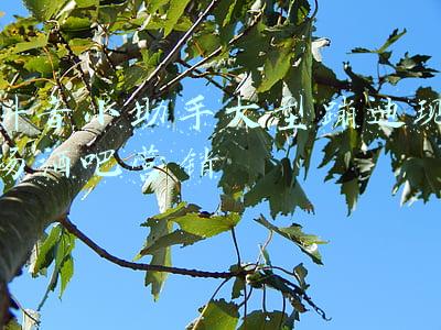 酒吧蹦迪视频朋友圈(夜店也内卷)