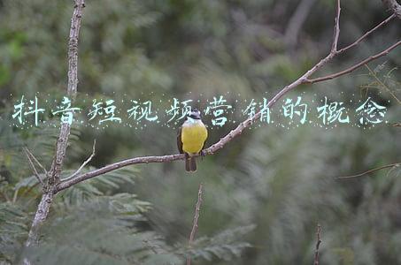 营销的概念的ppt(年度营销计划分步详解（PPT课件）)