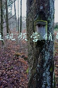 抖音短视频营销的概念