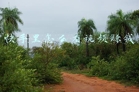 快手里怎么看视频赚钱