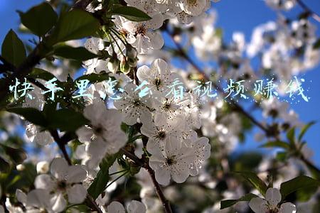 快手里怎么看视频赚钱