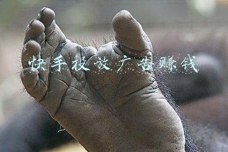 快手广告投放管理平台(快手广告推广怎么投放应用商店APP?)