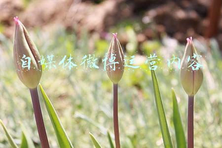 媒体微博排行榜(2021年第三季度政务微信微博榜单来啦！)