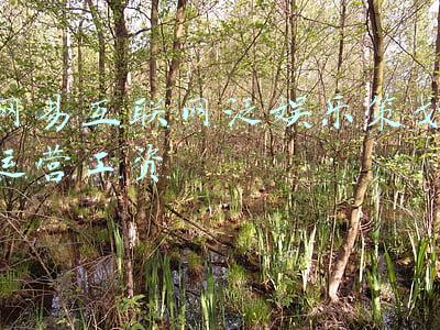 网易互娱薪资待遇(网易游戏（互娱）2019秋招启动，1280+岗位招聘！)