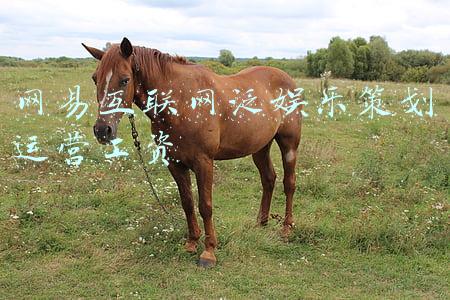 网易产品策划待遇(大家到底能拿多少薪水？请看各行业各公司应届生薪资样本情况)