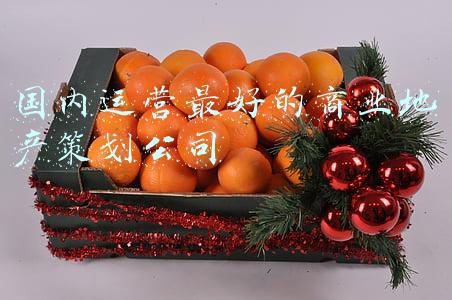 国内运营最好的商业地产策划公司