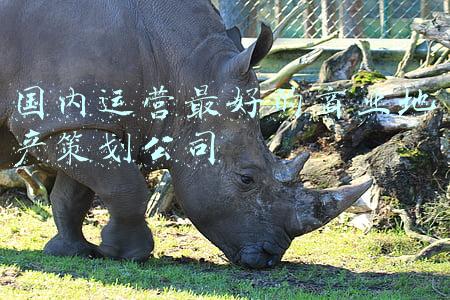 国内运营最好的商业地产策划公司
