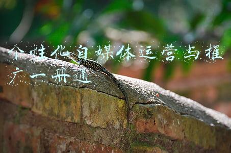 个性化ppt模版(PPT技巧：如何制作属于自己的个性化PPT模板？)