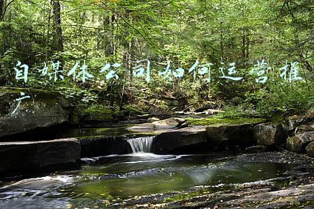 新媒体如何运营推广(运营干货：如何利用新媒体做好产品推广)
