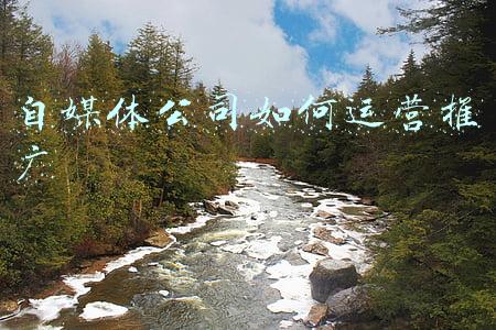 上海广告媒体推广公司(2022中国广告公司排名，上海策划公司哪家好？)