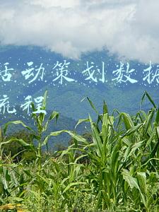 淘宝运营工作计划(淘宝天猫运营如何写好店铺运营规划？)
