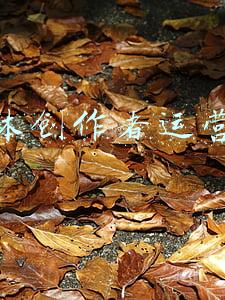 头条自媒体创作平台(头条号平台持续打击违规帐号的公告 | 2021年9月30日)