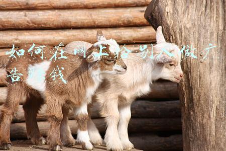 如何网上免费做广告(免费推广网站的 7种有效方法)
