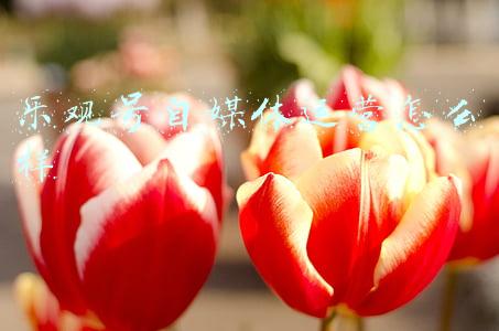 什么叫自媒体运营(从零开始认识自媒体运营)