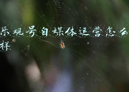 乐观号自媒体爆文采集器(自媒体人必备的几个工具，用过的都会爱不释手)