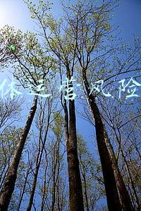 自媒体运营的问题与对策(自媒体运营中有哪些雷区？避免这些雷区，才能走得更顺畅)