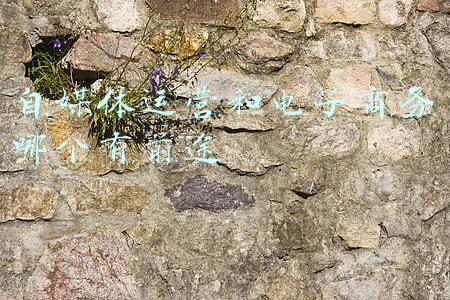 电商自媒体是什么行业(一文带你了解“自媒体创业”)