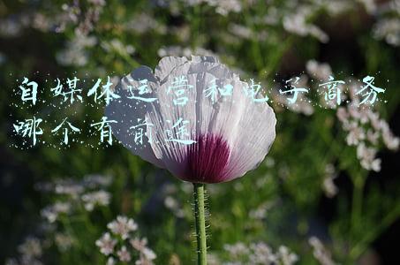 电子商务专业有前途吗(电商的未来)