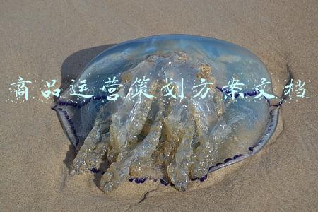 商品策划方案(公司企业广告策划方案（范本）)