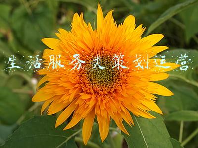 生活服务类开票内容(2021年最新 不同发票盖章要求汇总！发票这样盖章罚款1万)